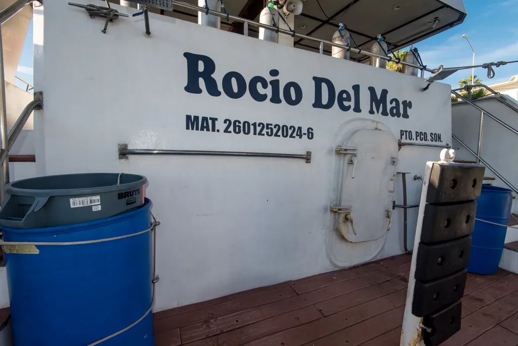 Rocio Del Mar — фото 45, дайвинг Мексика