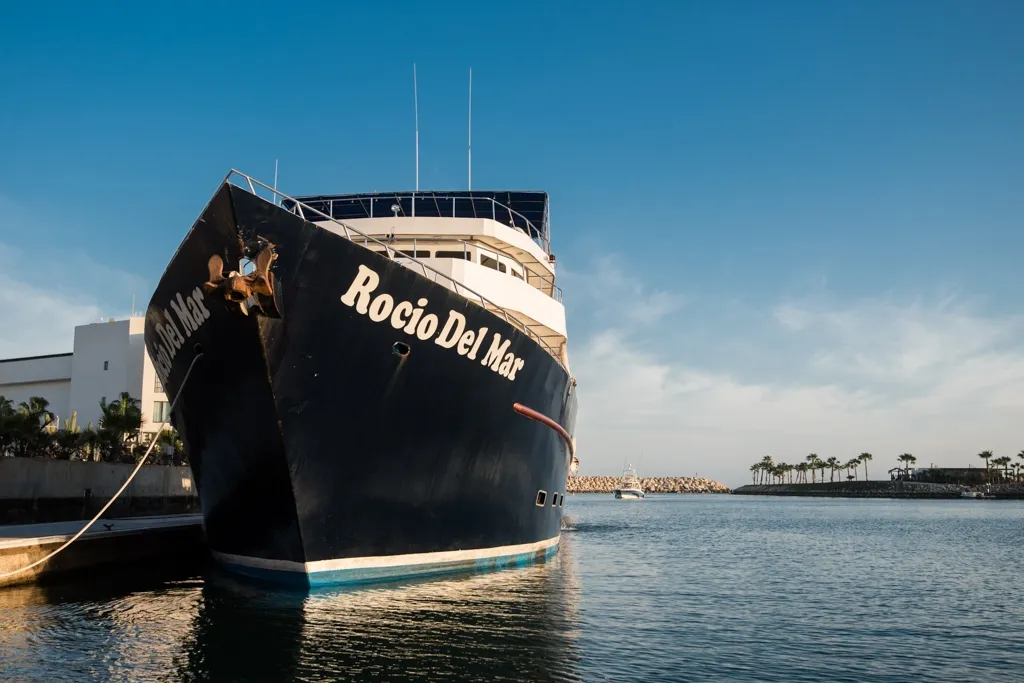 Rocio Del Mar — фото 56, дайвинг Мексика