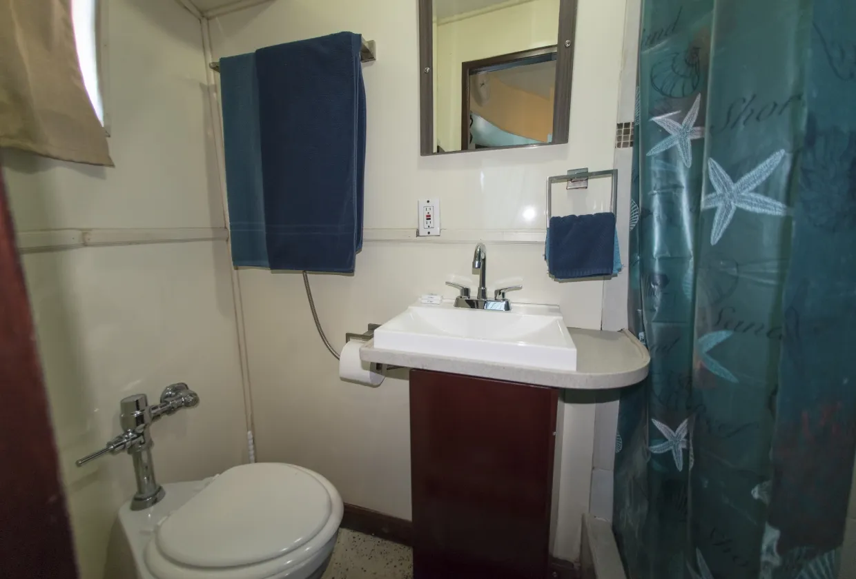 Rocio Del Mar — фото 70, дайвинг Мексика