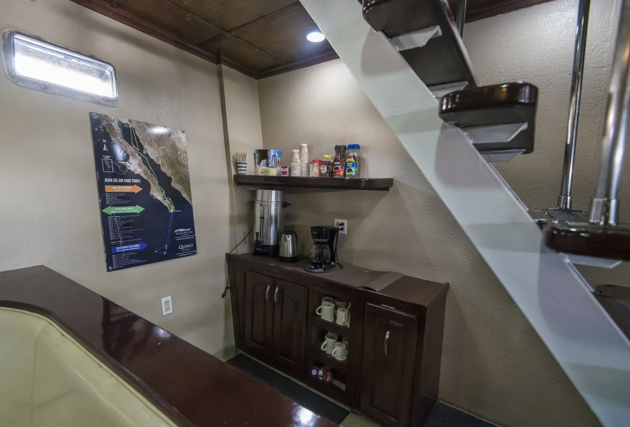 Rocio Del Mar — фото 72, дайвинг Мексика