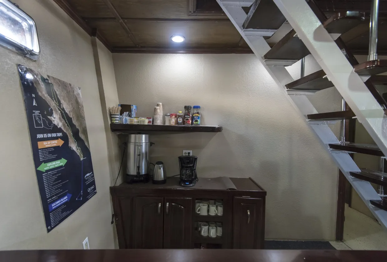 Rocio Del Mar — фото 73, дайвинг Мексика