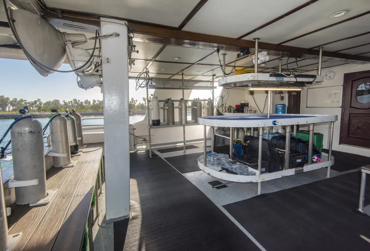 Rocio Del Mar — фото 80, дайвинг Мексика