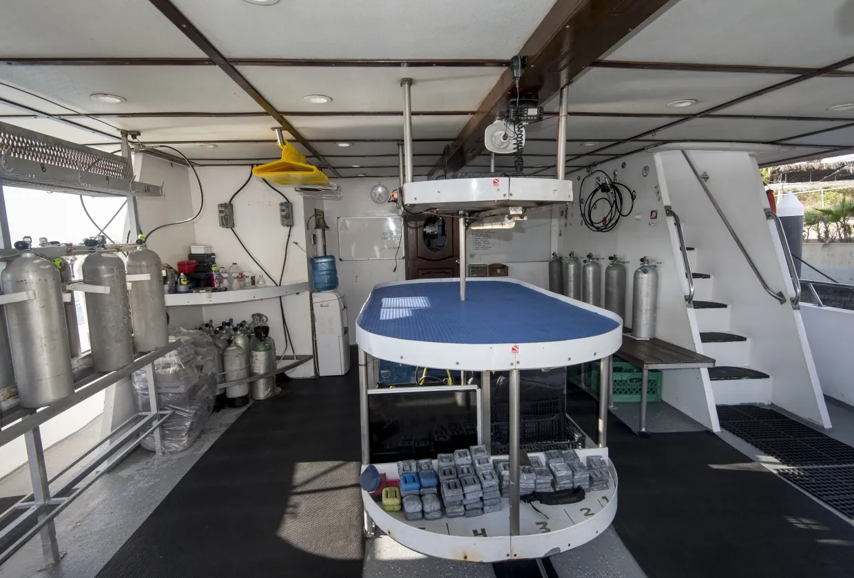 Rocio Del Mar — фото 82, дайвинг Мексика