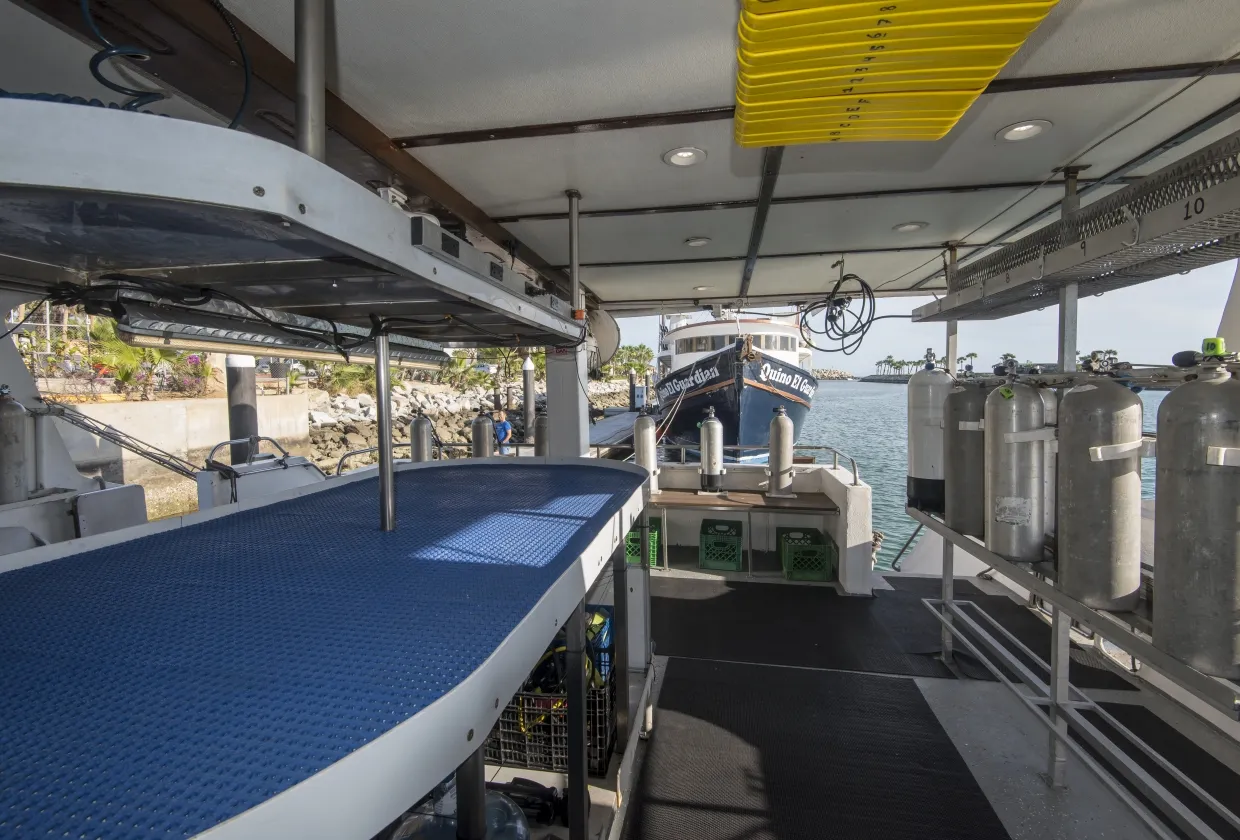 Rocio Del Mar — фото 83, дайвинг Мексика