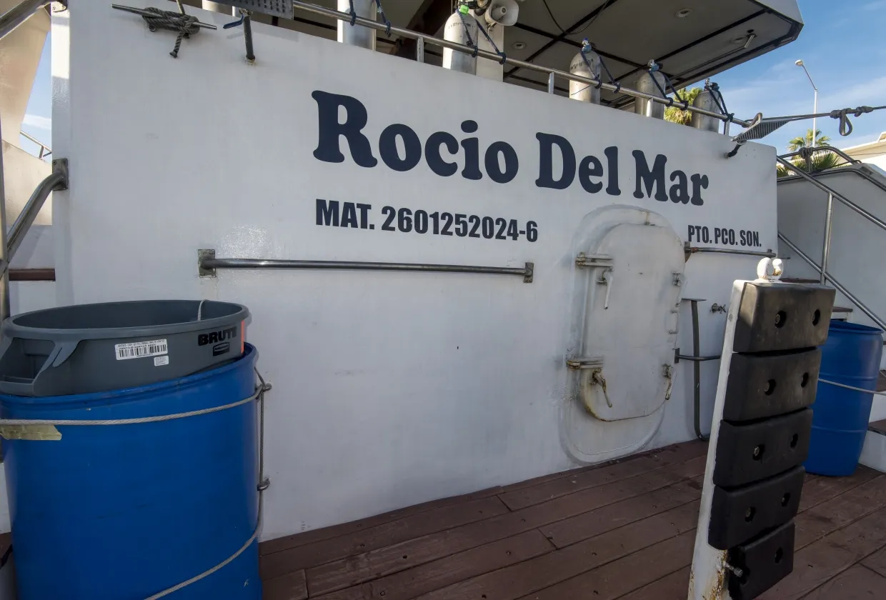 Rocio Del Mar — фото 84, дайвинг Мексика