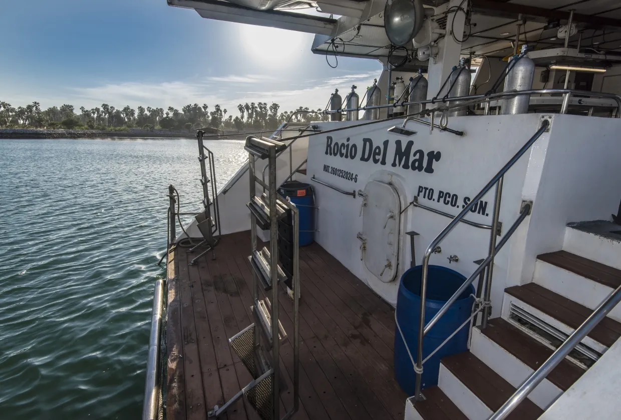 Rocio Del Mar — фото 85, дайвинг Мексика