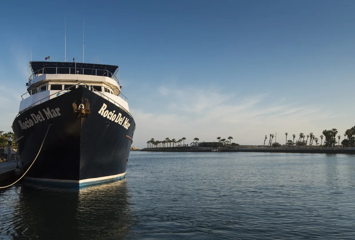 Rocio Del Mar — фото 87, дайвинг Мексика