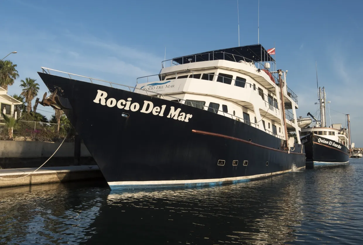 Rocio Del Mar — фото 88, дайвинг Мексика