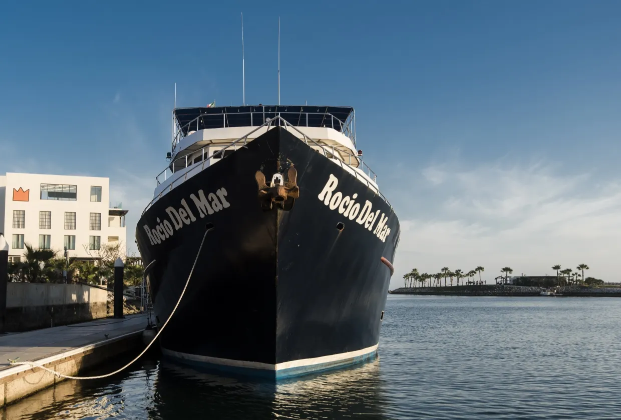 Rocio Del Mar — фото 89, дайвинг Мексика