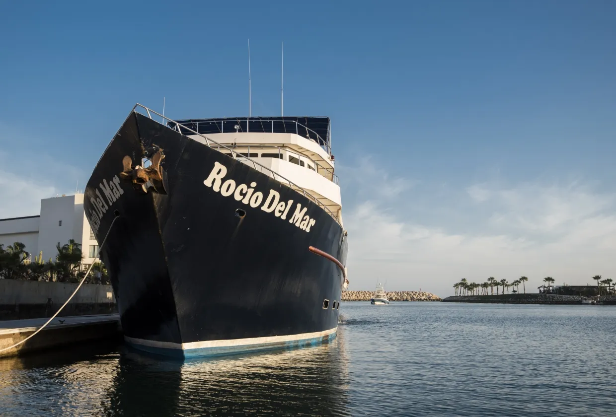 Rocio Del Mar — фото 90, дайвинг Мексика