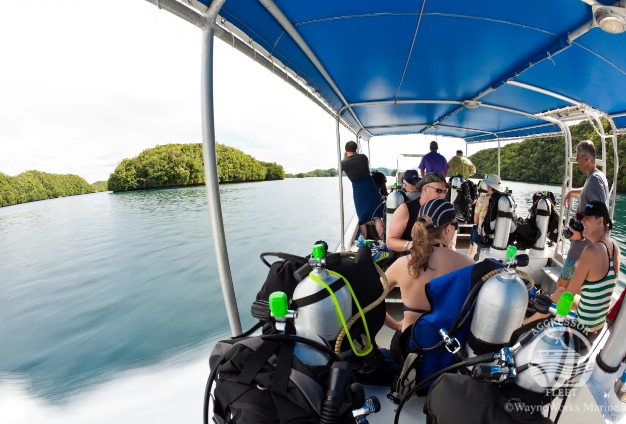 Rock Islands Aggressor — фото 11, дайвинг Палау