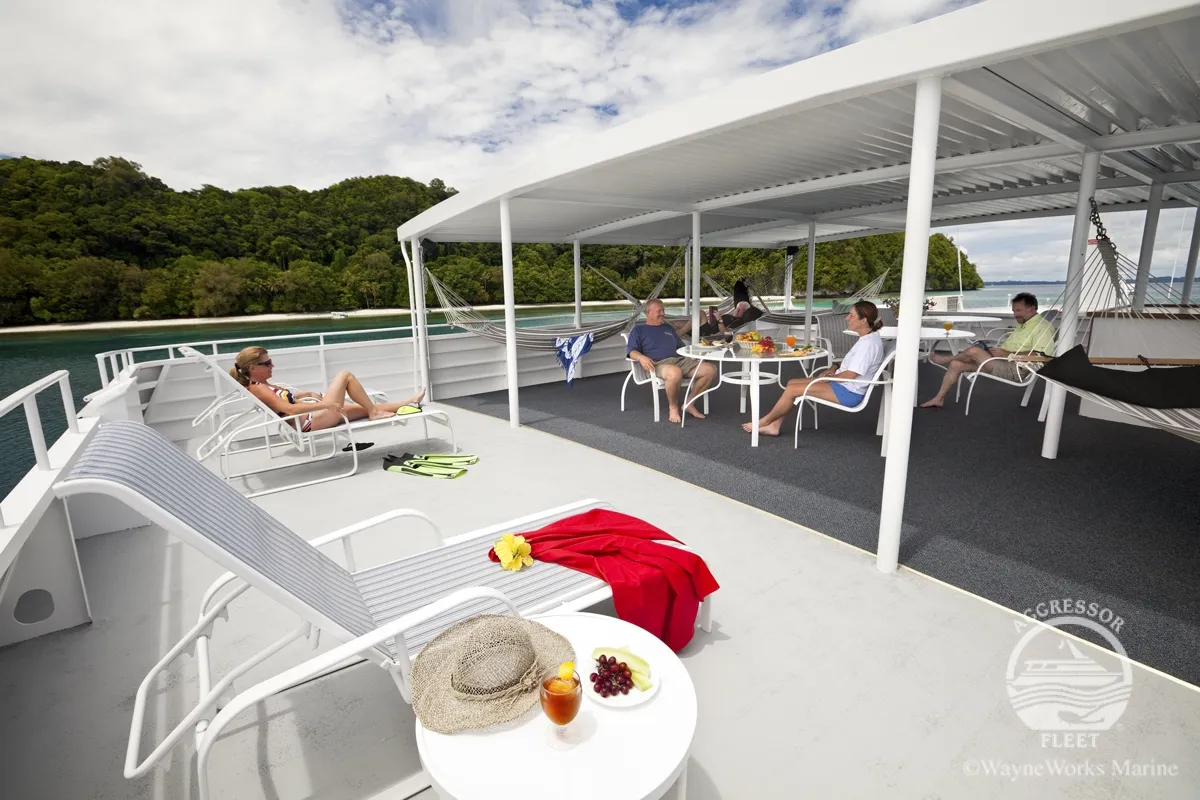 Rock Islands Aggressor — фото 14, дайвинг Палау