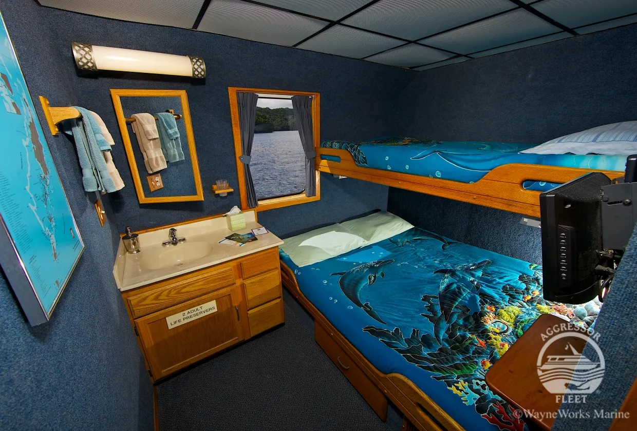 Rock Islands Aggressor — фото 18, дайвинг Палау