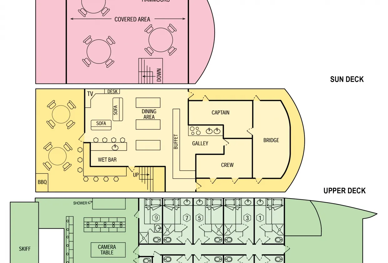 Rock Islands Aggressor — фото 19, дайвинг Палау