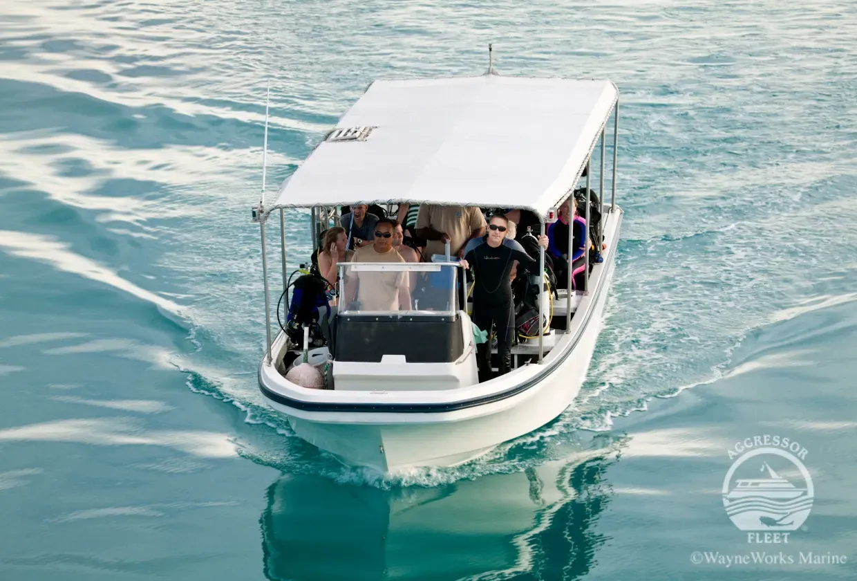 Rock Islands Aggressor — фото 4, дайвинг Палау