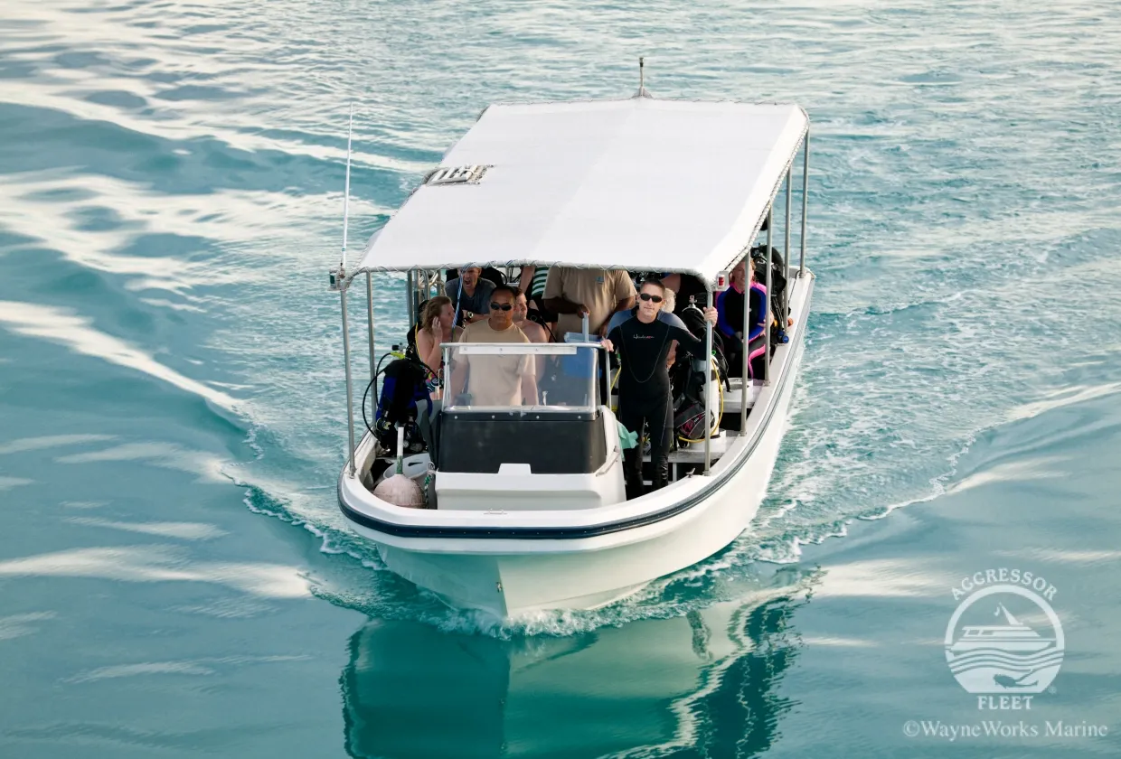 Rock Islands Aggressor — фото 4, дайвинг Палау