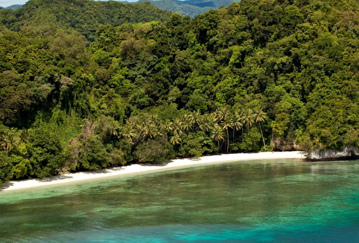 Rock Islands Aggressor — фото 5, дайвинг Палау