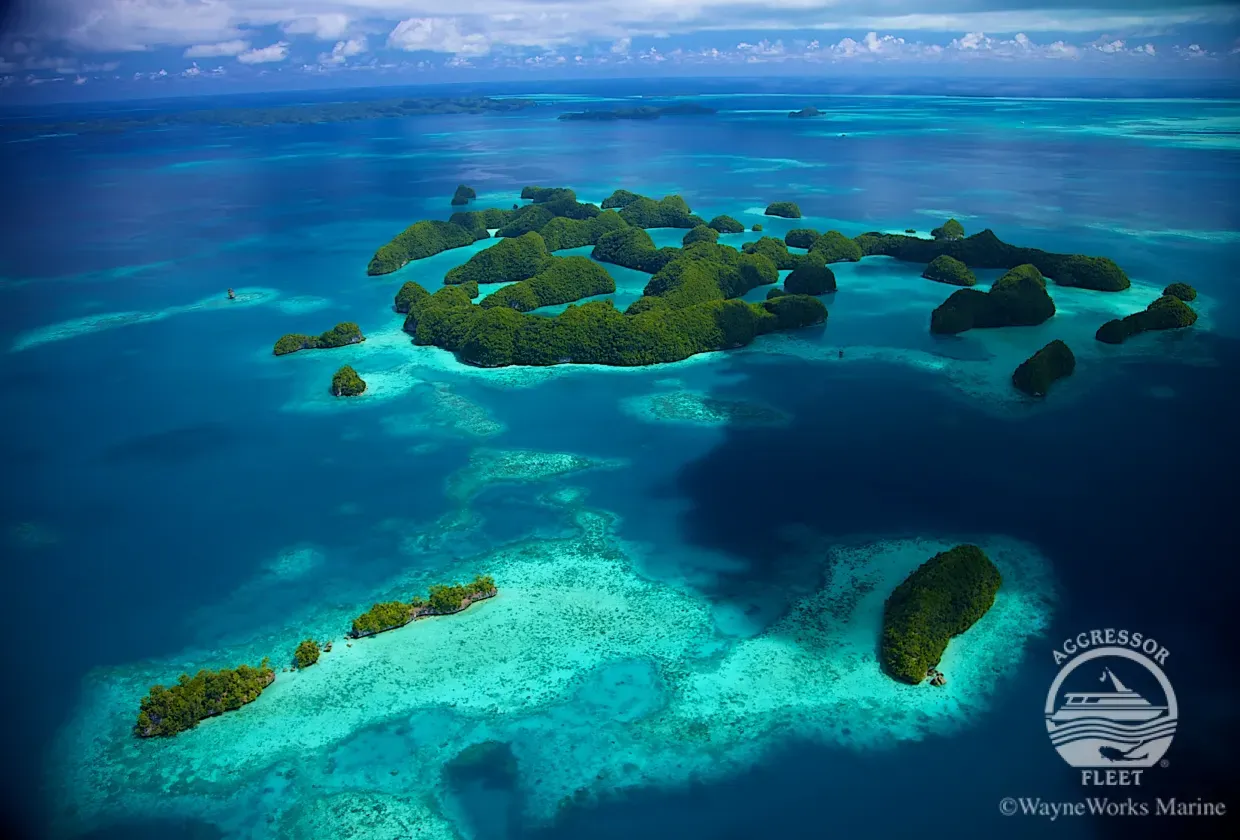 Rock Islands Aggressor — фото 7, дайвинг Палау