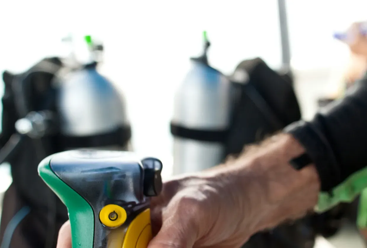 Rock Islands Aggressor — фото 9, дайвинг Палау