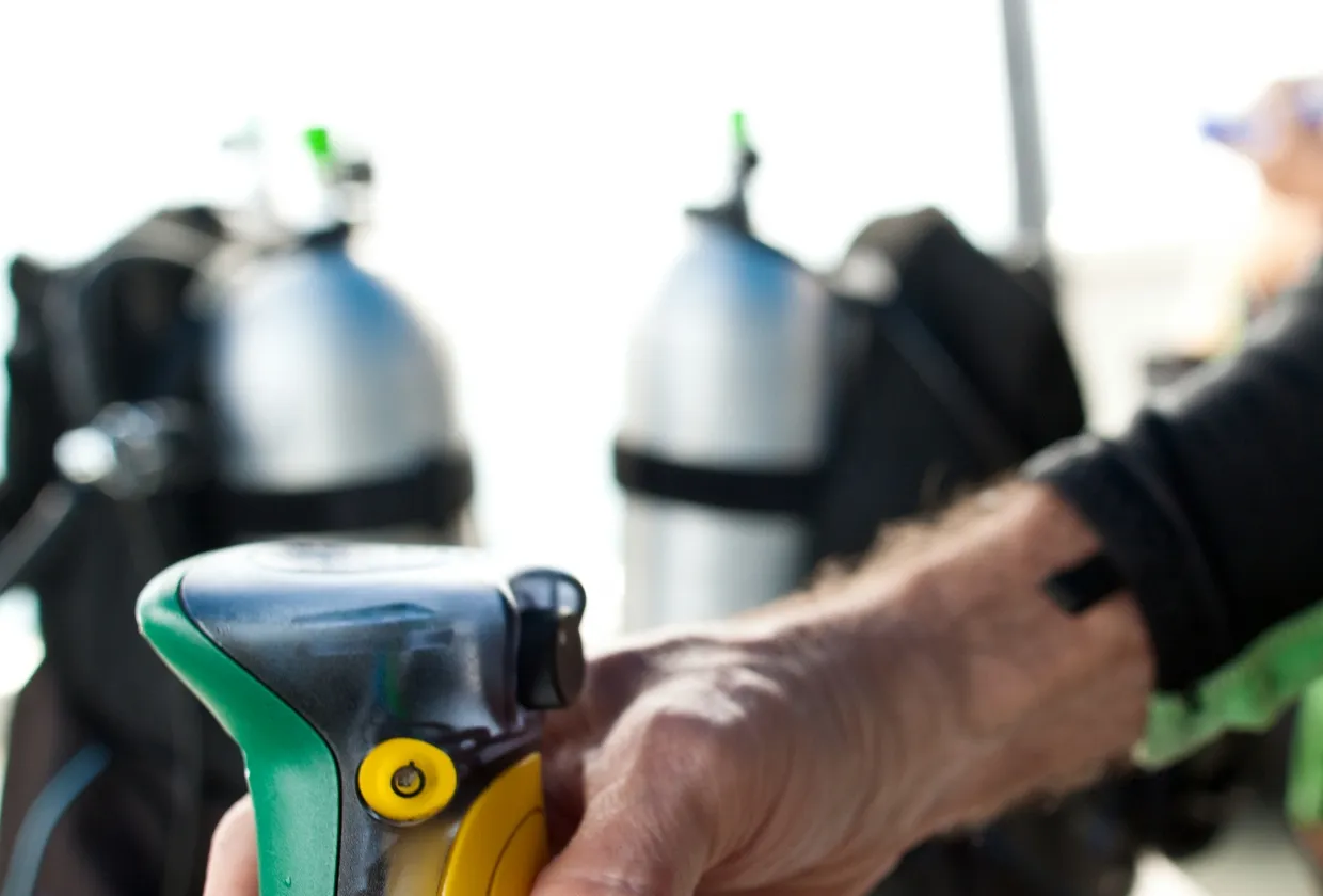 Rock Islands Aggressor — фото 9, дайвинг Палау