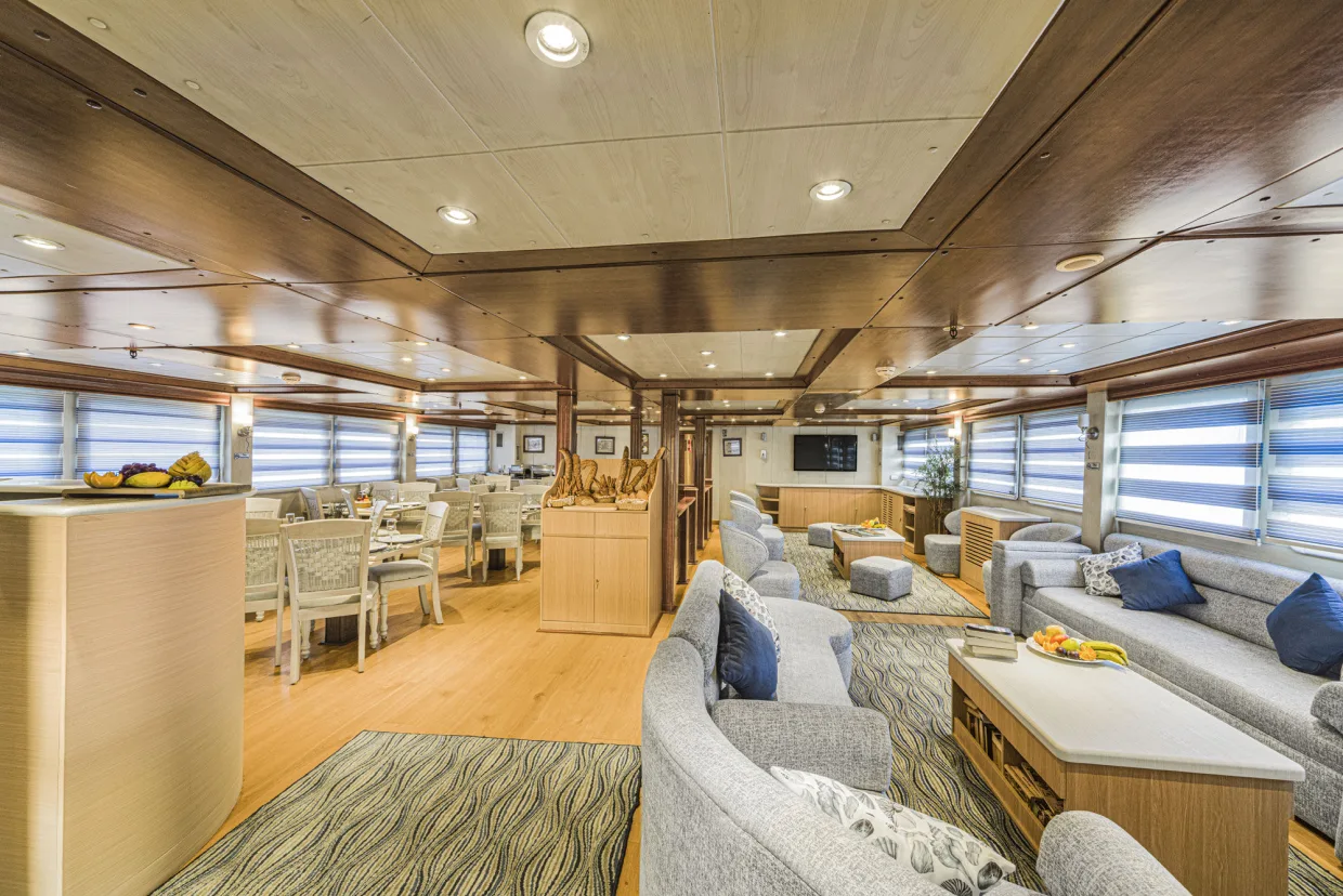 Saloon and dining room share one space on Royal Evolution