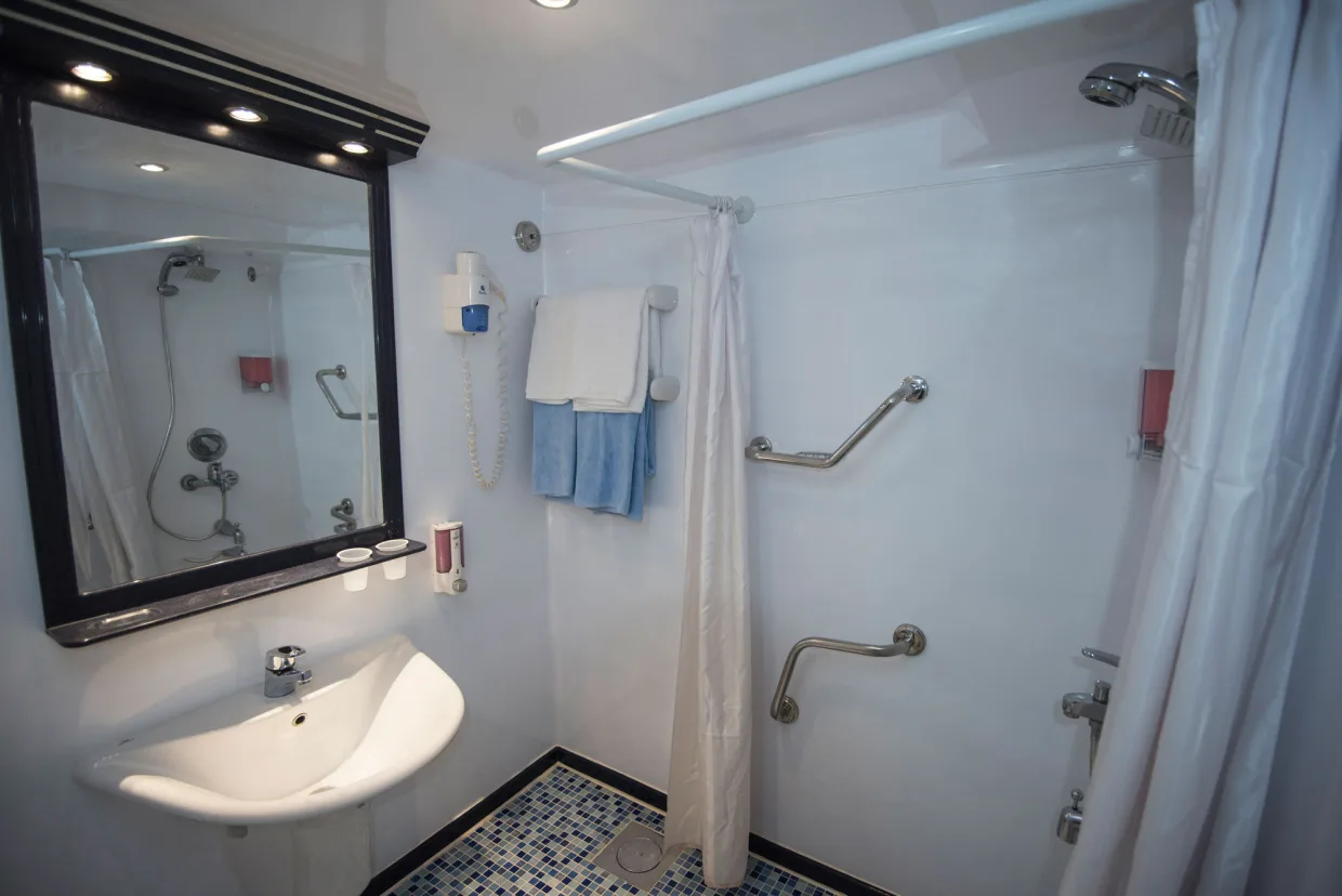 Twin Suite bathroom on Royal Evolution with grab rails and a step-free shower