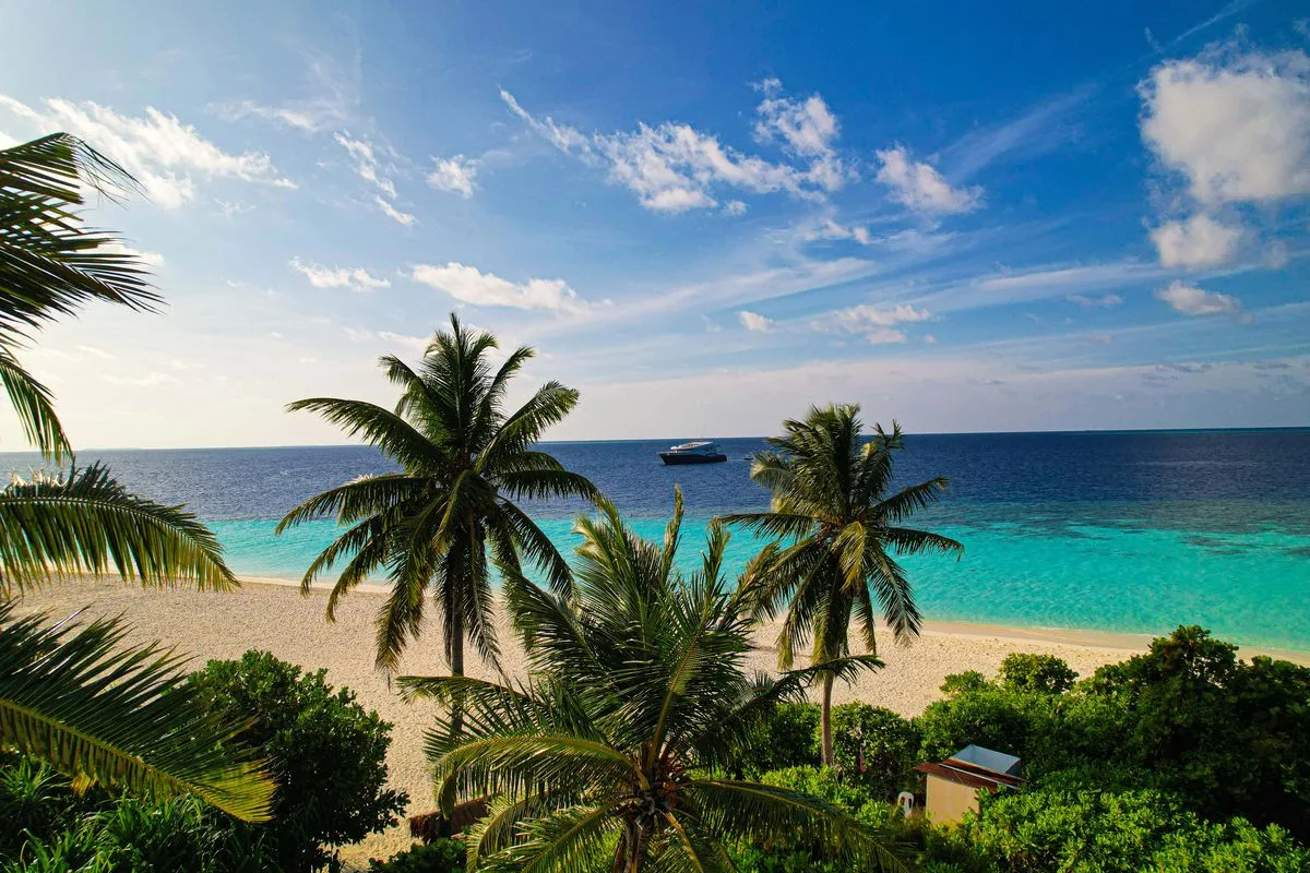 Scubaspa Yang — фото 11, дайвинг Мальдивы