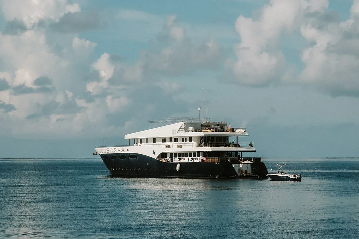 Scubaspa Yang — фото 9, дайвинг Мальдивы