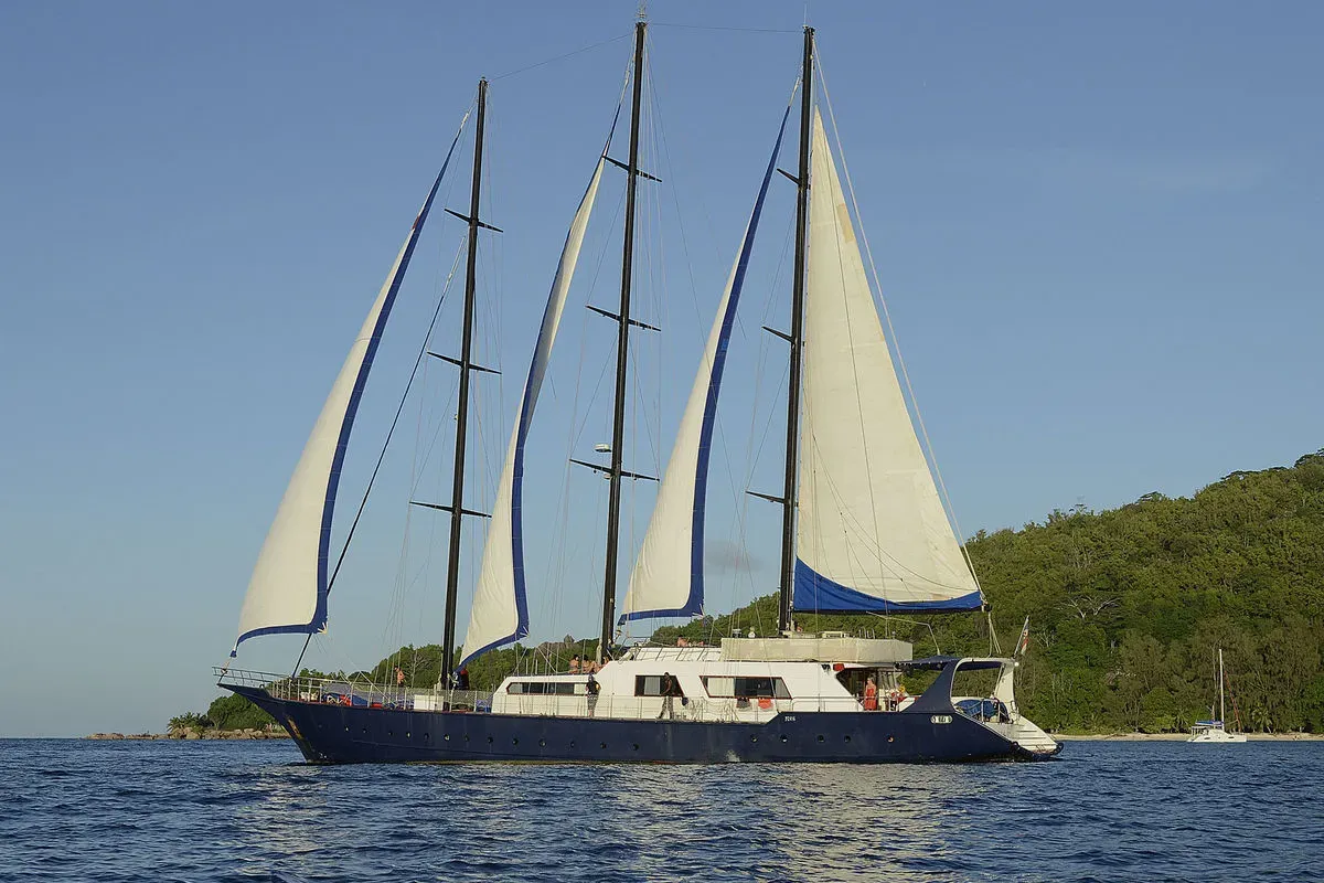 Sea Bird and Sea Star — фото 3, дайвинг Сейшелы