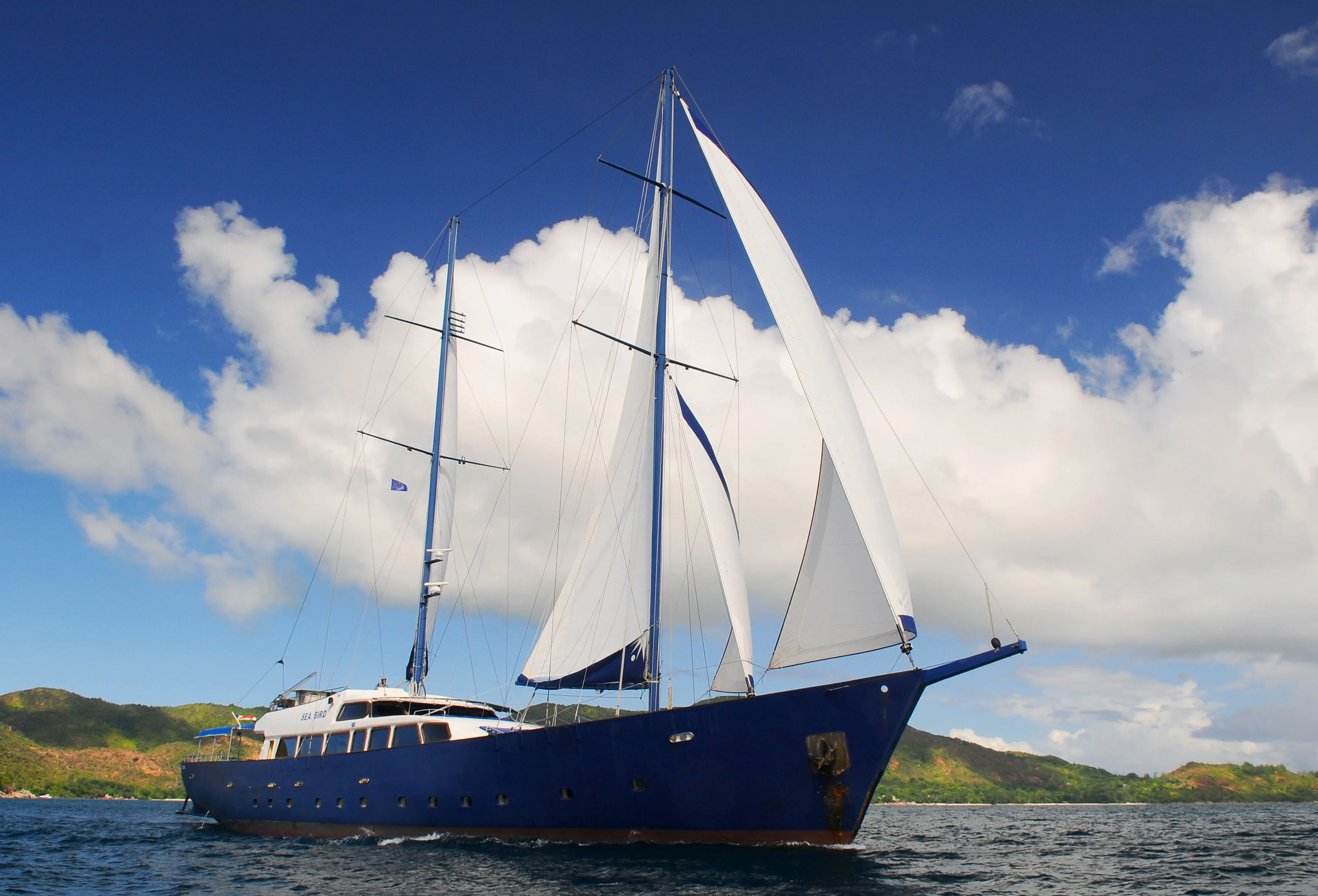 Sea Bird bow-on under sail
