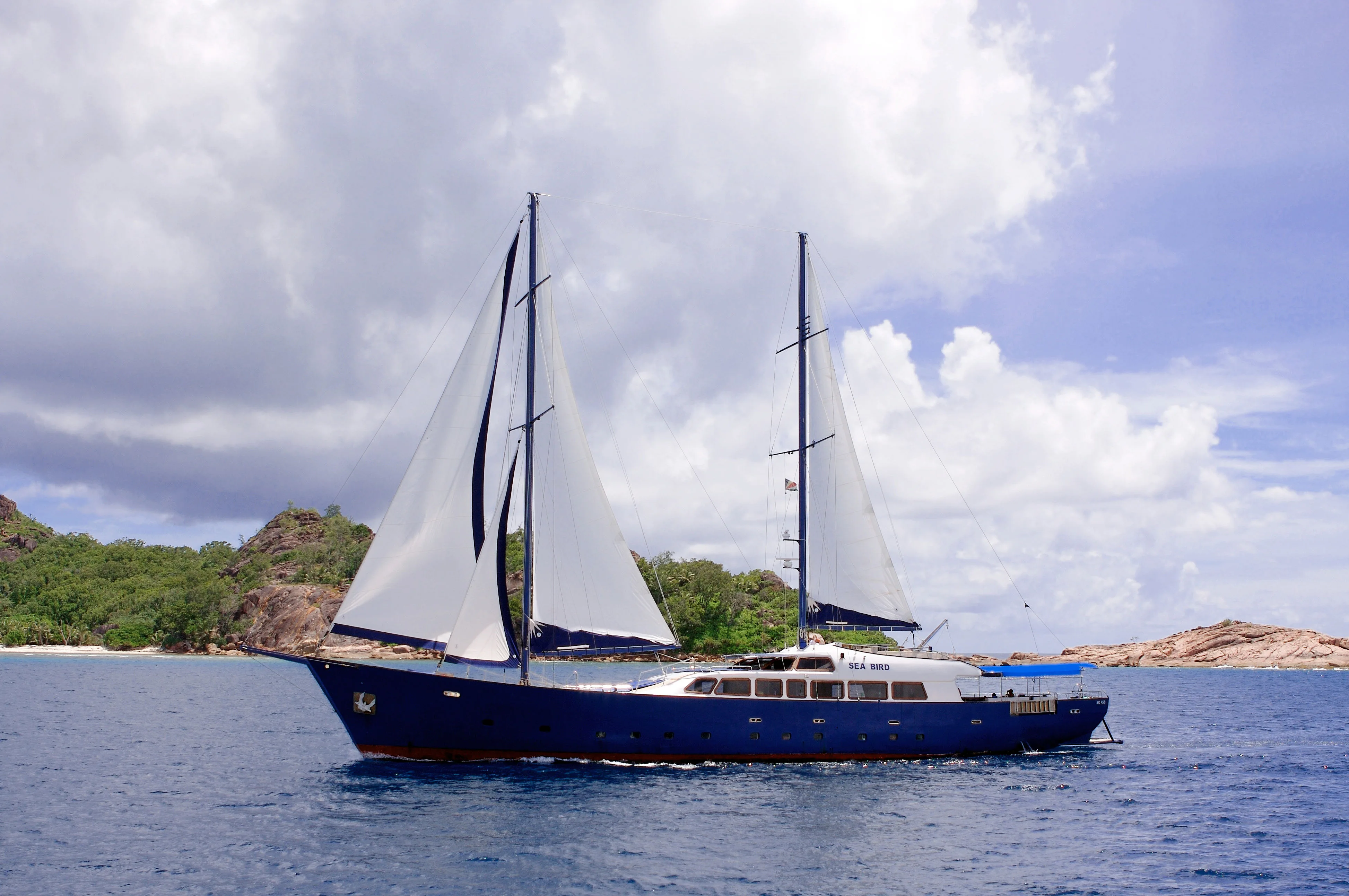 Sea Bird sailing along a forested island