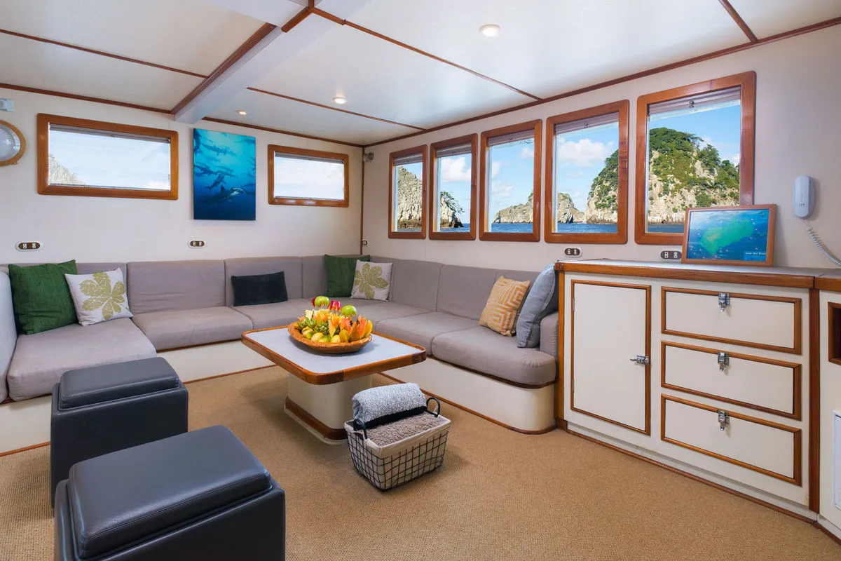 Saloon with a TV and a view onto the green slopes of the island