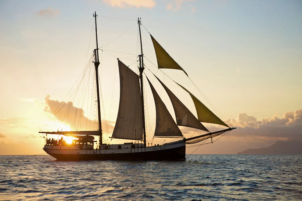 Sea Pearl sailing into the sun with her olive headsails set