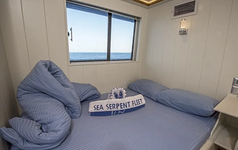 Sea Serpent Contessa/Contessa Mia