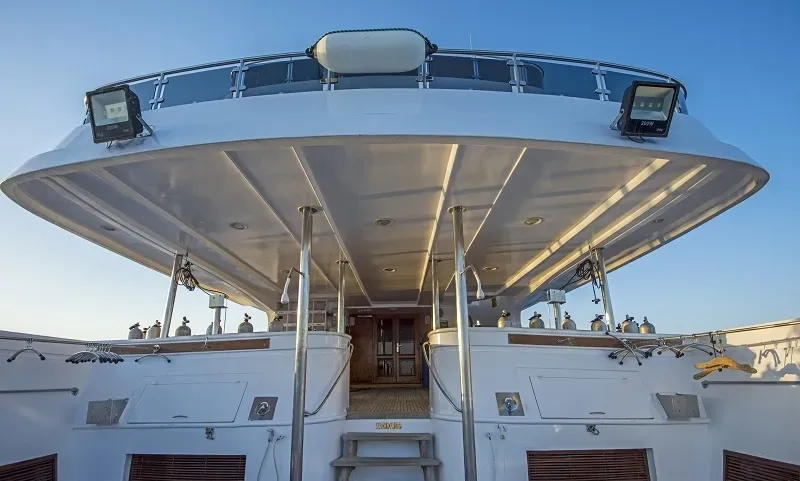 Sea Serpent Contessa/Contessa Mia