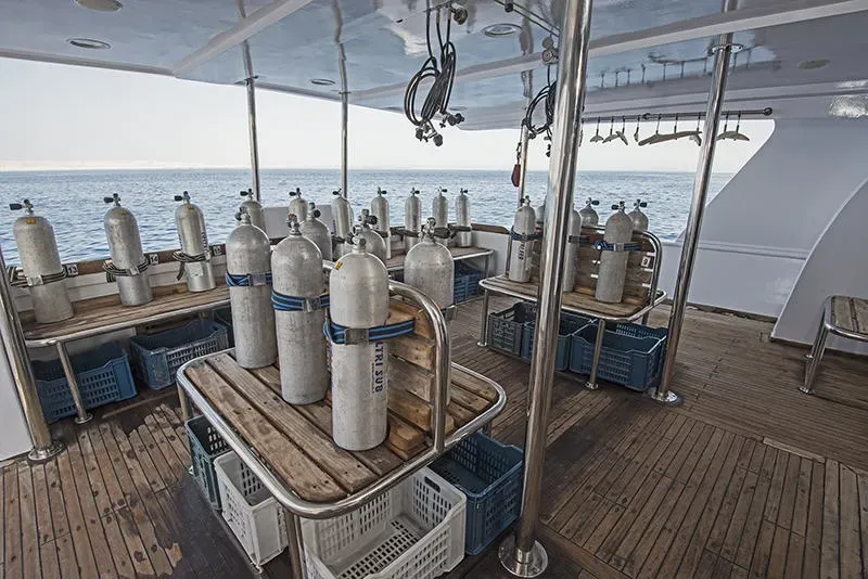 Sea Serpent Excellence/Excellence