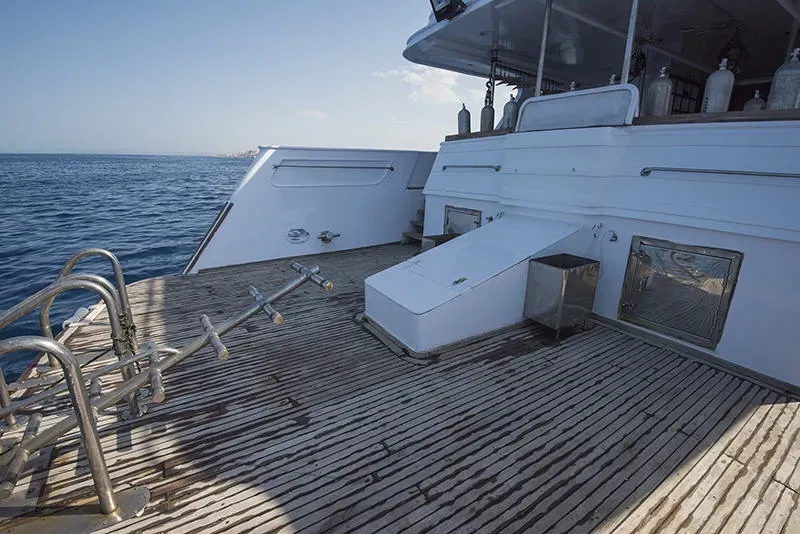 Sea Serpent Excellence/Excellence