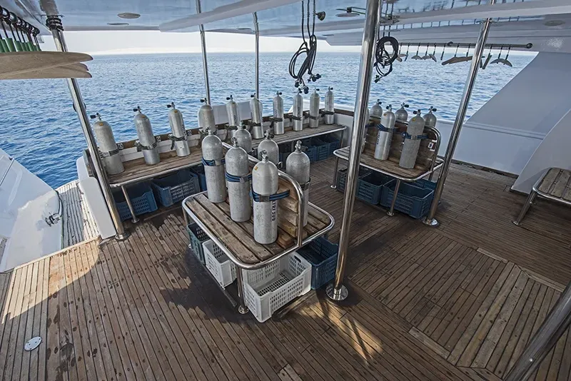 Sea Serpent Excellence/Excellence