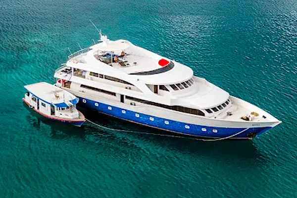 Сафари на Мальдивах, яхта SeaRose II