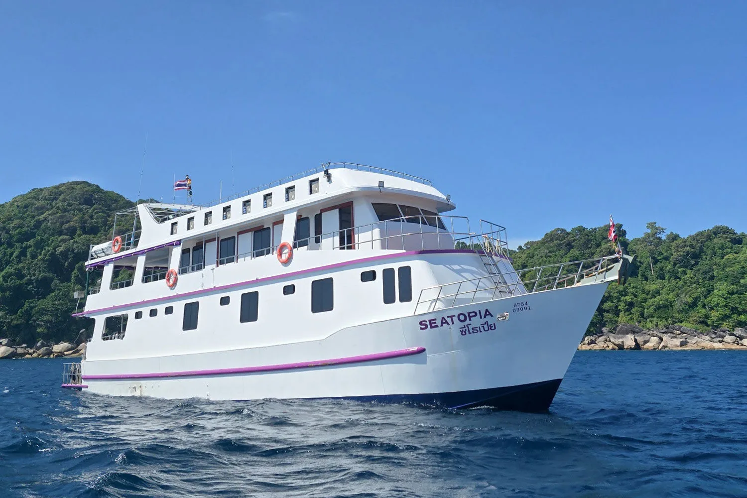 Seatopia off a rocky shore — three decks and a purple stripe along the hull