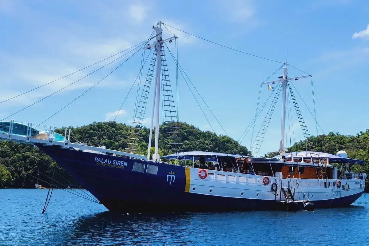 Solitude Gaia — фото 5, дайвинг Палау