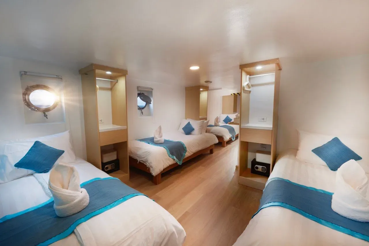 Quad Cabin — фото каюты