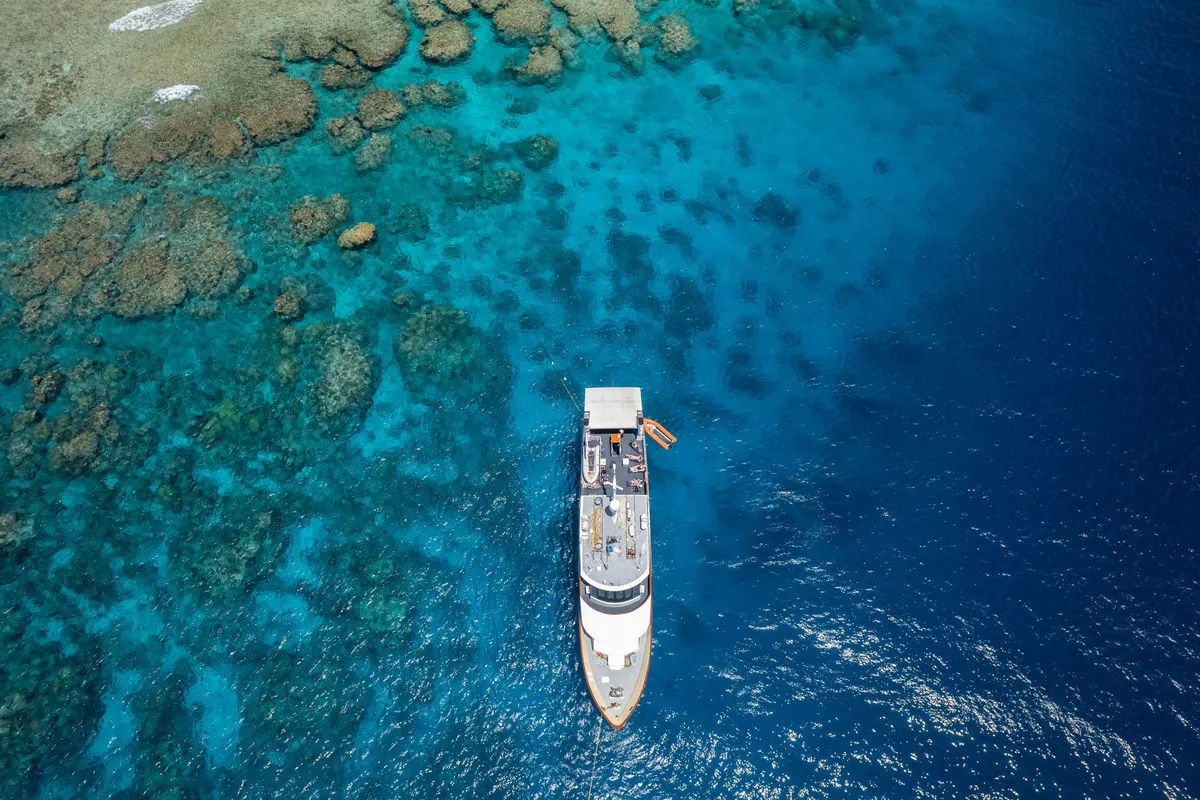 Spirit of Freedom from directly above the coral fields of the Ribbon Reefs