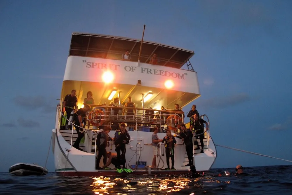 The lit dive deck of Spirit of Freedom at dusk