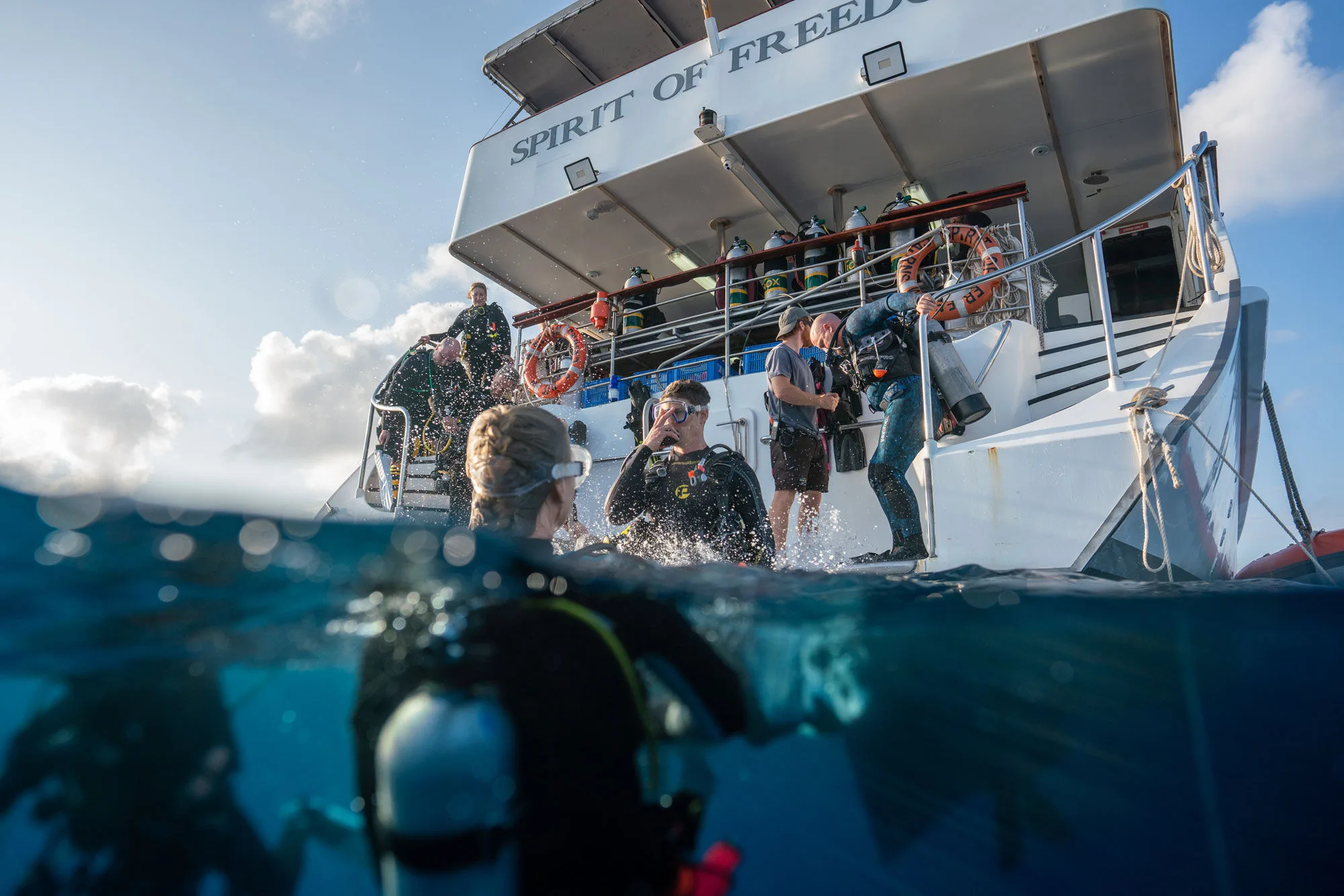 Divers entering the water off the back deck