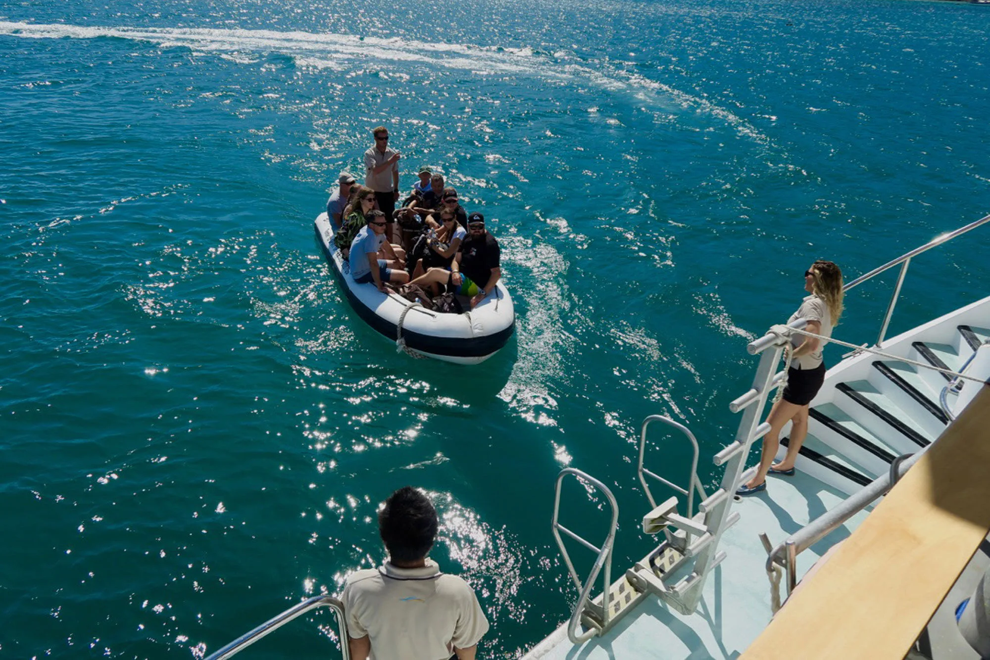 A Naiad tender bringing divers back to the vessel
