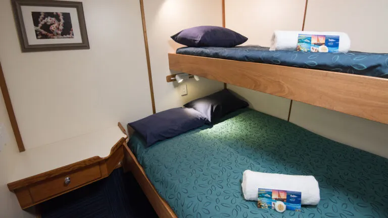 Standard Double or Twin Share — фото каюты