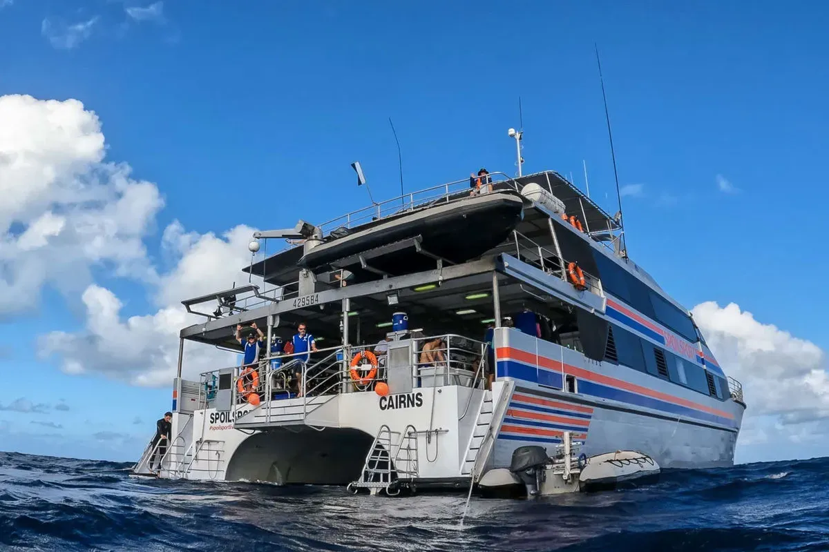 Spoilsport — фото 7, дайвинг Австралия