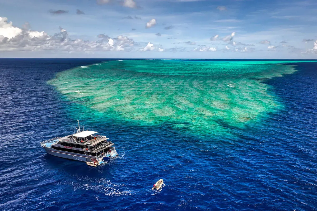 Spoilsport — фото 8, дайвинг Австралия