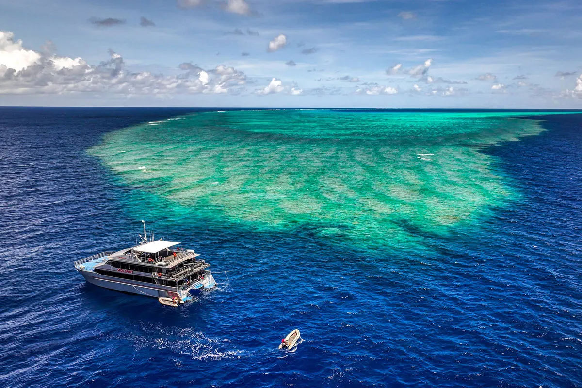 Spoilsport — фото 8, дайвинг Австралия